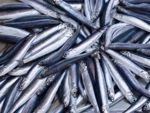 Pescadería sevilla