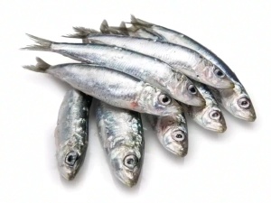 Pescadería sevilla