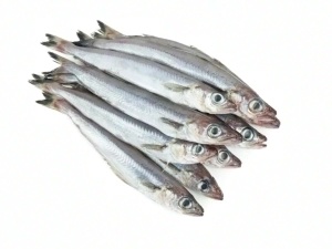 Pescadería sevilla
