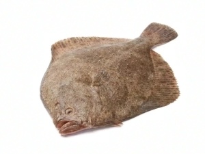Pescadería sevilla