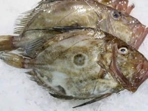 Pescadería sevilla