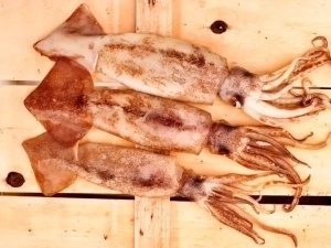 Pescadería sevilla